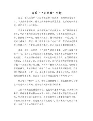 为系上“安全带”叫好