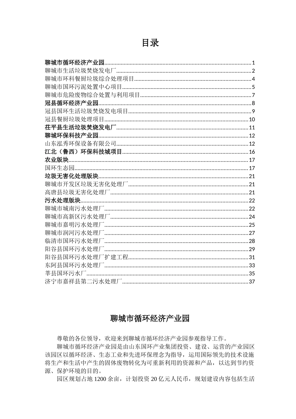 国环产业集团项目讲解词总汇_第1页