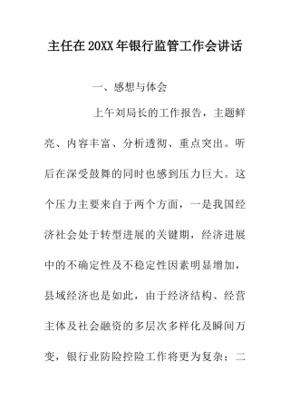 主任在20XX年银行监管工作会讲话