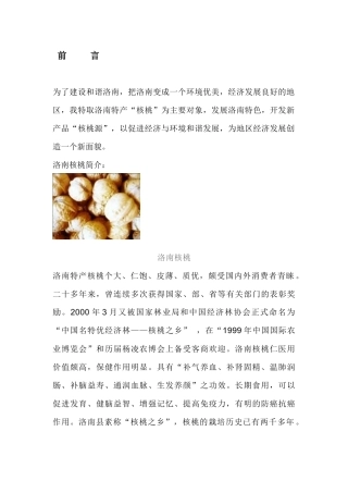 核桃新产品策划书