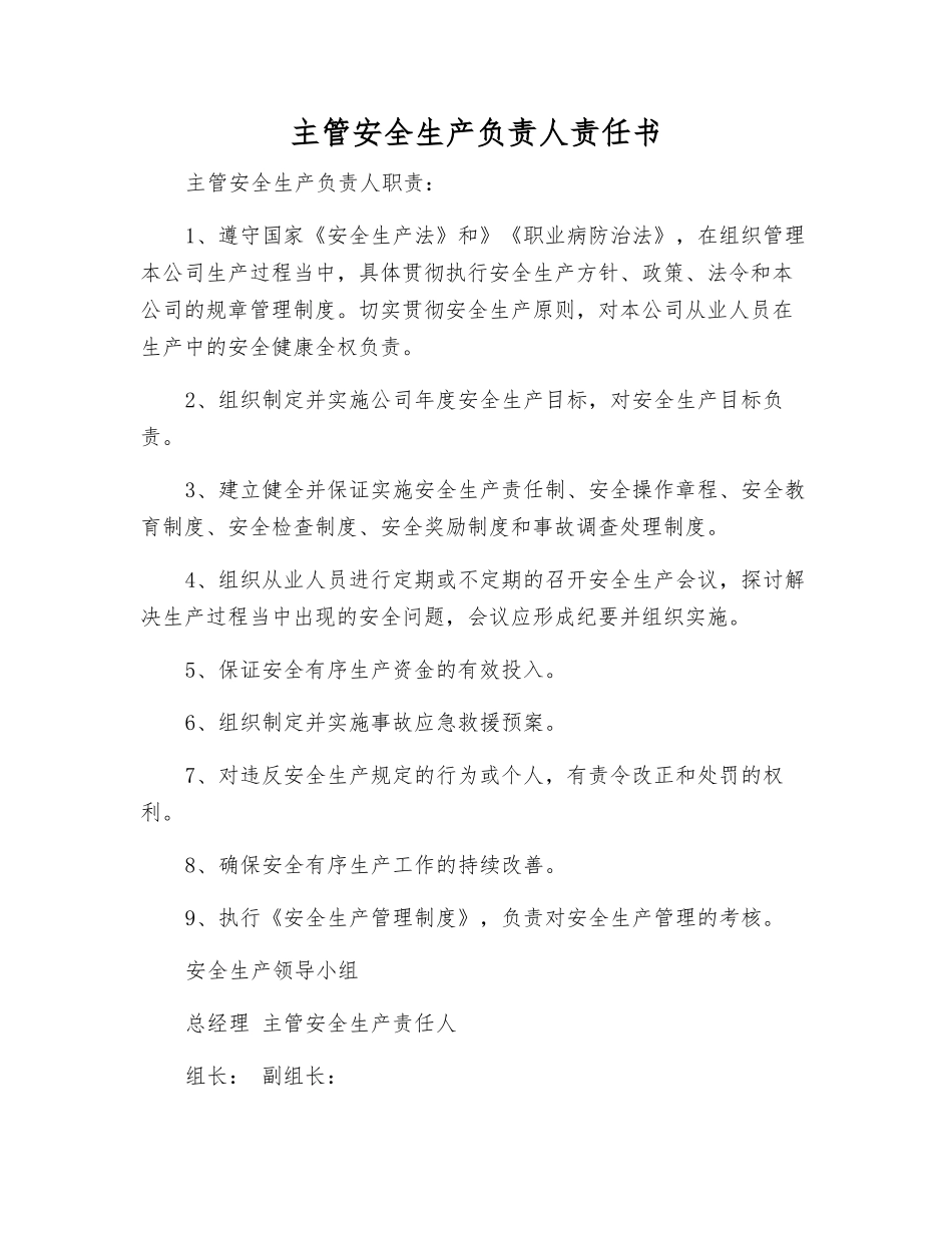 主管安全生产负责人责任书_第1页