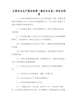 主管安全生产副总经理的安全职责