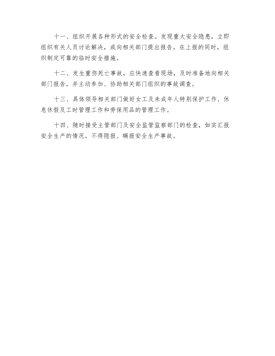 主要负责人安全生产岗位责任制_第2页