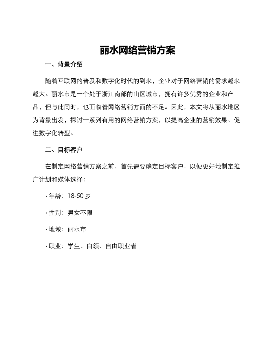 丽水网络营销方案_第1页