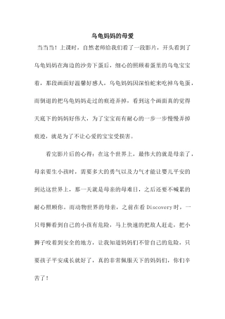 乌龟妈妈的母爱