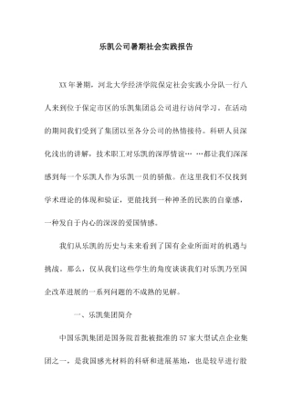 乐凯公司暑期社会实践报告