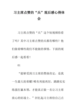 习主席点赞的“兵”观后感心得体会