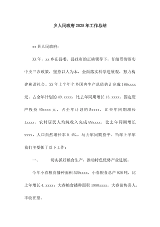 乡人民政府2025年工作总结