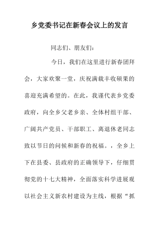 乡党委书记在新春会议上的发言
