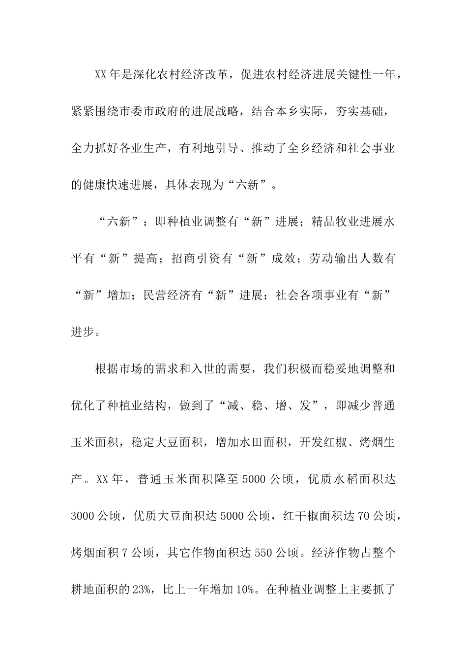乡党委书记年终个人工作总结_第2页