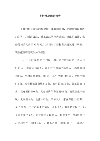 乡村情况调研报告