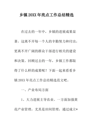 乡镇20XX年亮点工作总结精选