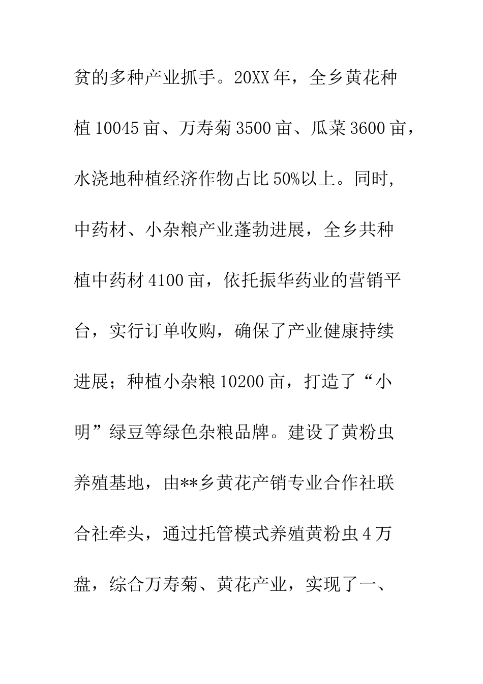 乡镇20XX年工作总结_第3页