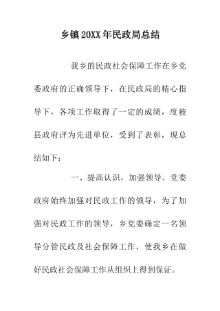 乡镇20XX年民政局总结