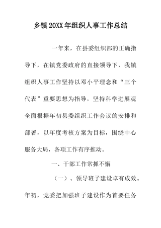 乡镇20XX年组织人事工作总结