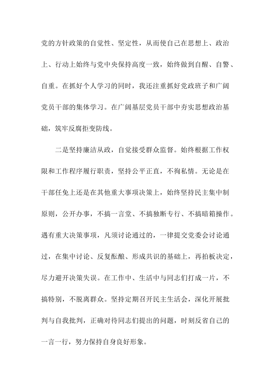 乡镇主要领导述职述廉报告_第2页