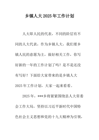 乡镇人大2025年工作计划