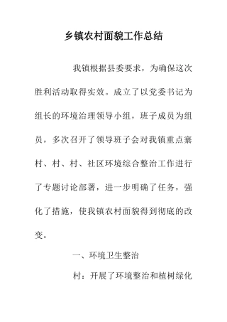 乡镇农村面貌工作总结