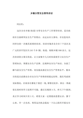 乡镇分管安全领导讲话