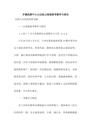 乡镇发展中心主任赴云南旅游考察学习报告