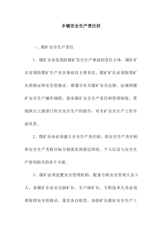 乡镇安全生产责任状