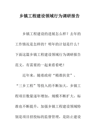 乡镇工程建设领域行为调研报告