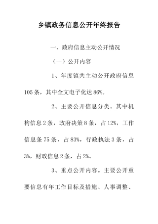 乡镇政务信息公开年终报告