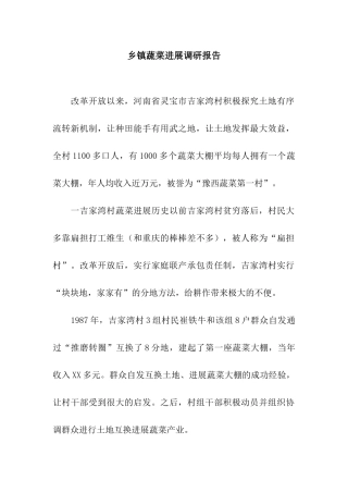 乡镇蔬菜发展调研报告