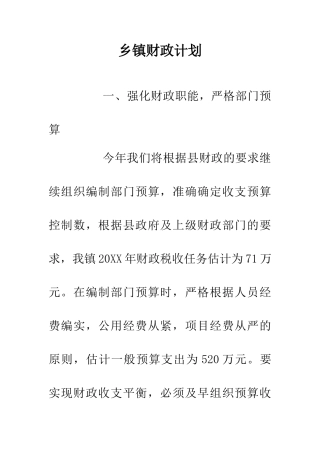 乡镇财政计划