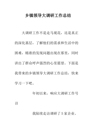 乡镇领导大调研工作总结