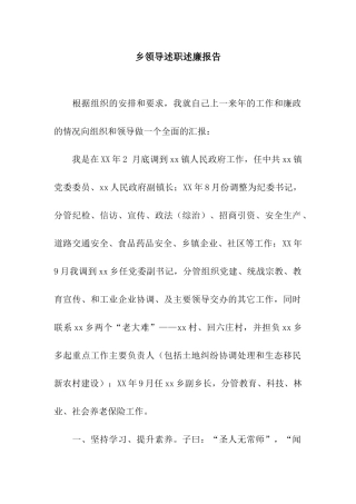 乡领导述职述廉报告