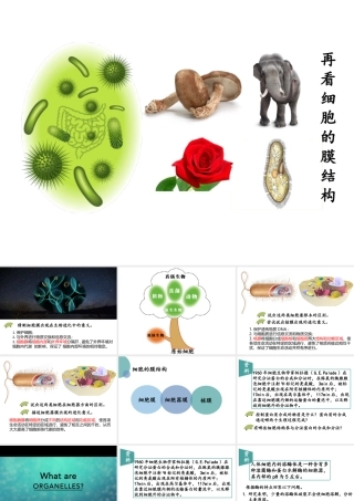 “再看细胞的膜结构”一节复习课课件
