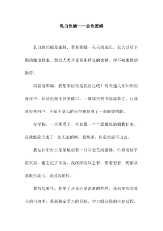 乳白色蛹——金色蜜蜂-1