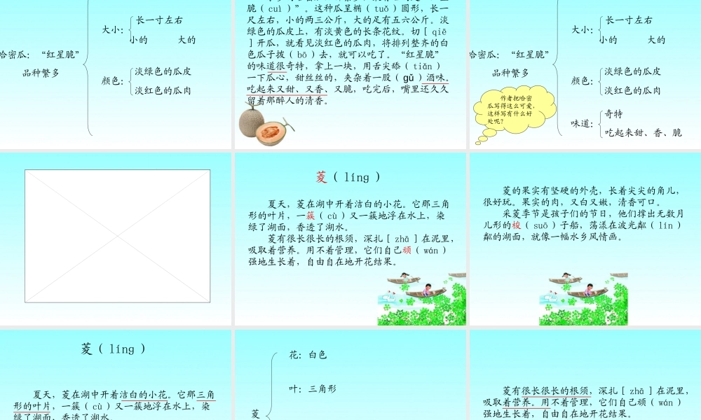 016第十六课 短文两篇  家乡的哈密瓜  菱