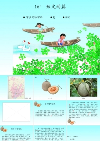016第十六课 短文两篇  家乡的哈密瓜  菱