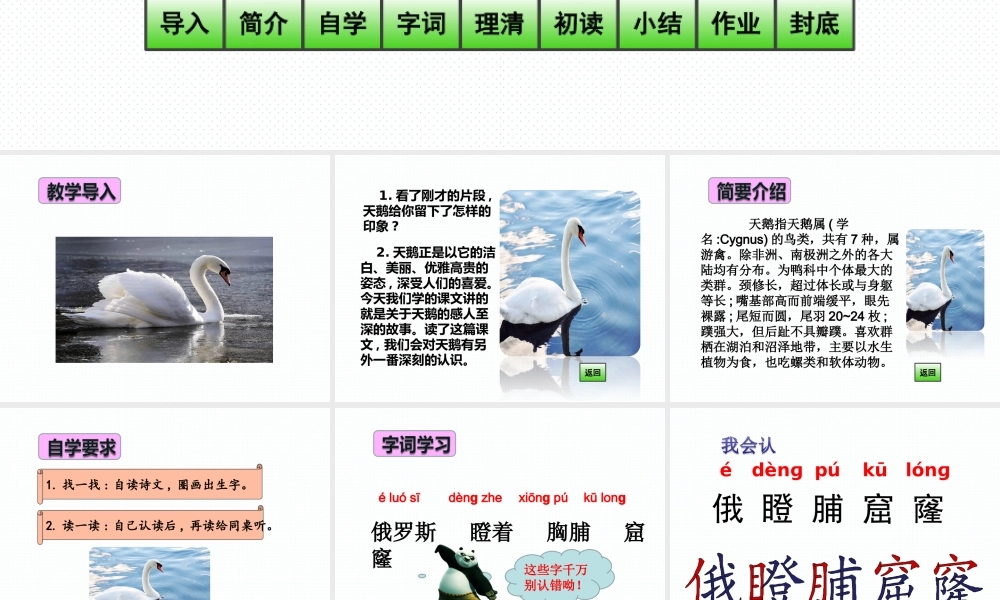 16 《天鹅的故事》第1课时
