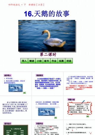 16 《天鹅的故事》第2课时