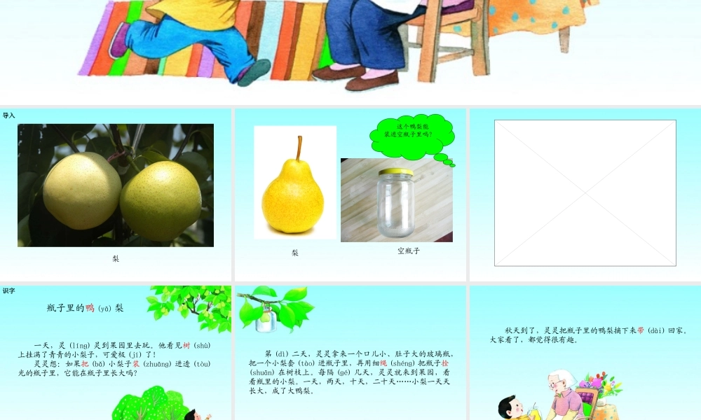 16 瓶子里的鸭梨