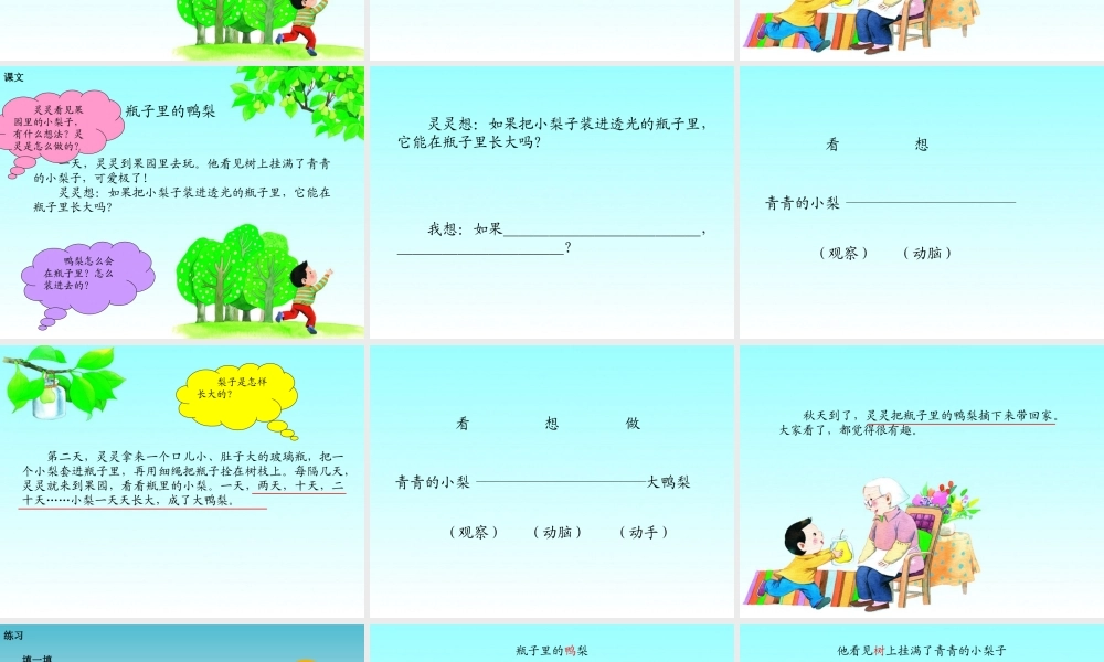 16 瓶子里的鸭梨