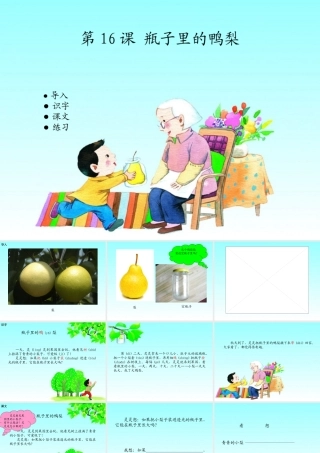 16 瓶子里的鸭梨