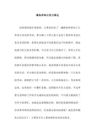 事务所审计实习周记