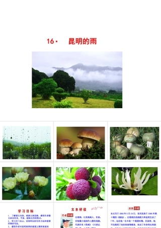 16﹡  昆明的雨