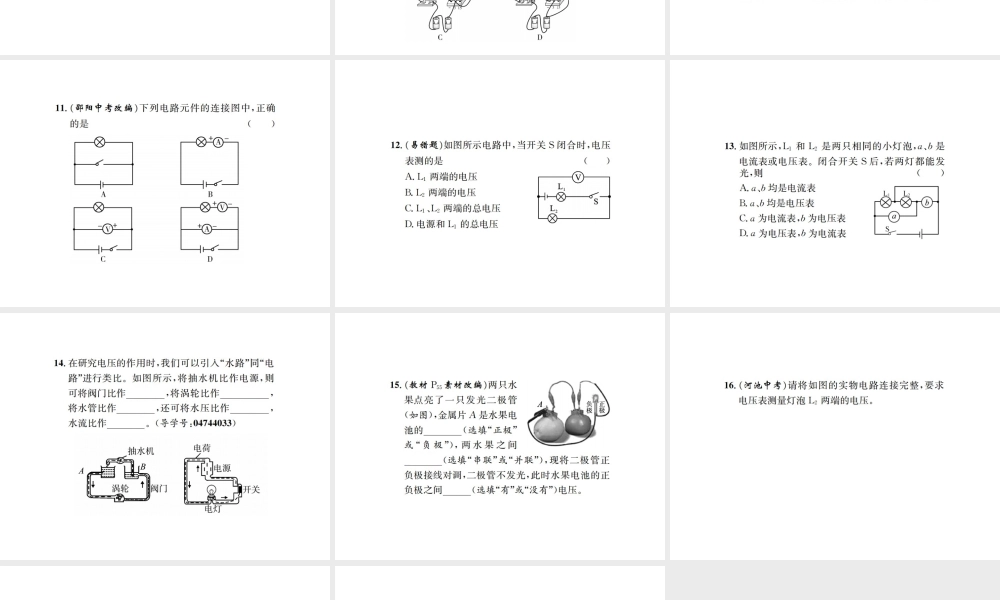 16.1  电压.pptx