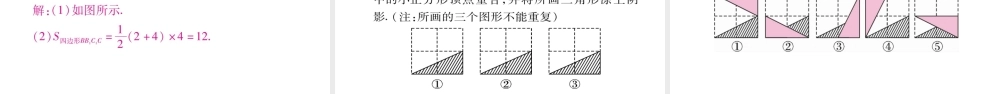16.1〓轴对称
