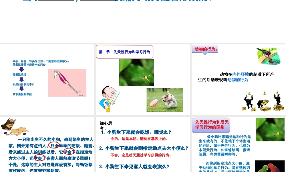 16.1先天性行为和后天学习行为