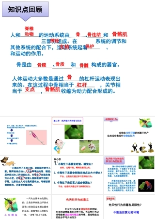 16.1先天性行为和后天学习行为