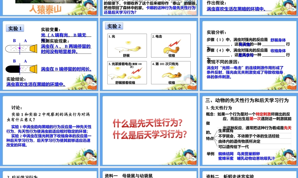 16.1先天性行为和后天学习行为课件
