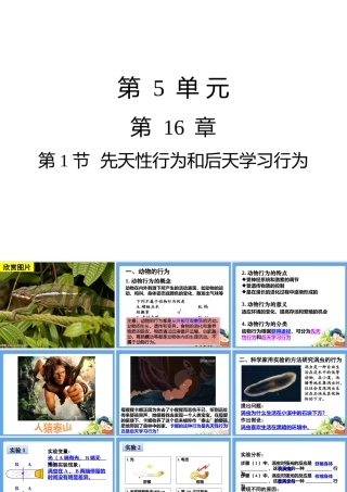 16.1先天性行为和后天学习行为课件