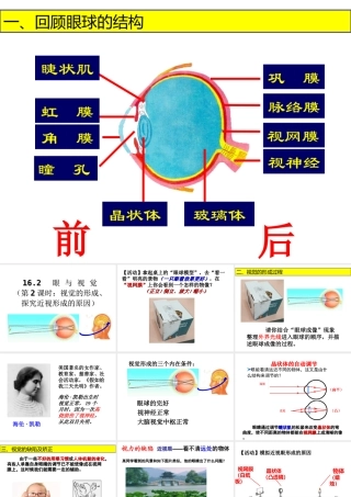 16.2 《眼与视觉》