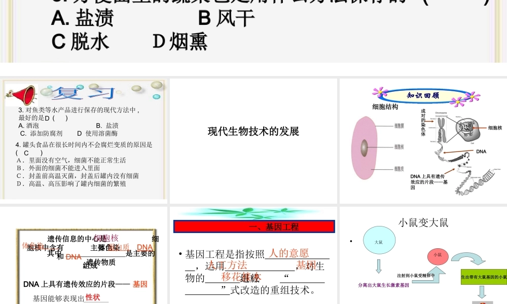 16.2 现代生物技术的发展 课件（北京课改版八年级下） (共37张PPT)